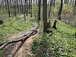IMG_1195