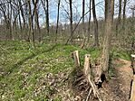 IMG_1197