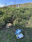 IMG_8150