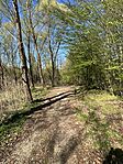 IMG_0161