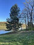 IMG_0170