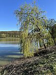 IMG_0168