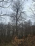 20260404_112607