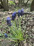 IMG_6565