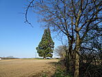 DSC00931