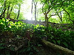 DSC01021