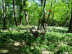 DSC01057