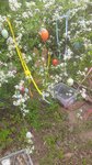 GCGN26_20260410_122634