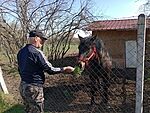 IMG_20260320_105258780_1_MFNR