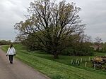 IMG_20260415_113646249_MFNR