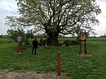 IMG_20260415_131953468_MFNR
