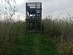 IMG_20260415_155842612_MFNR