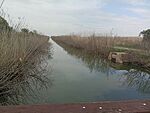 IMG_20260415_155945552_MFNR