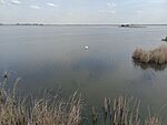 IMG_20260415_163456226_MFNR