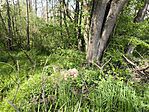 IMG_20260419_150917