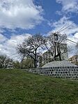 IMG_4913