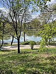 IMG_4915