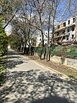 IMG_4916