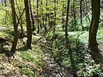 Égervölgyi-patak
