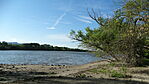 DSC00909