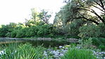 DSC00926