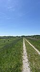 IMG_0370