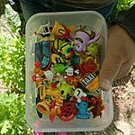 IMG_20260426_094717