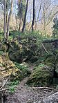 IMG_6876