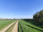 IMG_20260406_165438