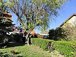 IMG_20260406_164500