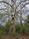 IMG_20260406_135639