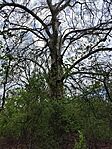 IMG_20260406_135634