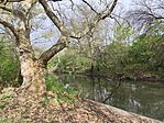 IMG_20260406_092959