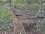 IMG_20260405_190029