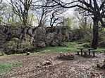 IMG_20260409_101057