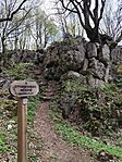 IMG_20260409_101126