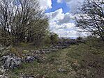 IMG_20260409_101632