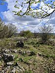 IMG_20260409_102204