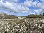 IMG_20260409_095559