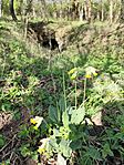 IMG_20260409_093350