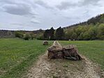 IMG_20260410_142820