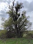 IMG_20260410_144422