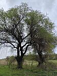 IMG_20260410_144435