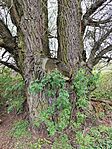 IMG_20260410_144454