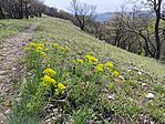 IMG_20260410_114600