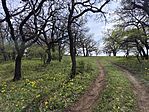 IMG_20260410_120622