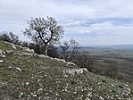 IMG_20260410_122259