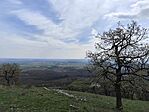 IMG_20260410_121025