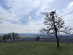 IMG_20260410_120915