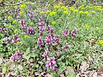 IMG_20260410_134822